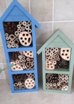 bug house1.jpg